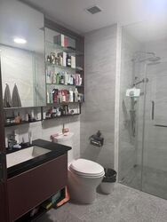 Normanton Park (D5), Apartment #497928771